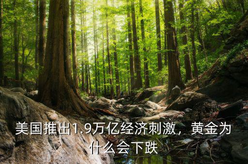 美國推出1.9萬億經(jīng)濟(jì)刺激，黃金為什么會下跌