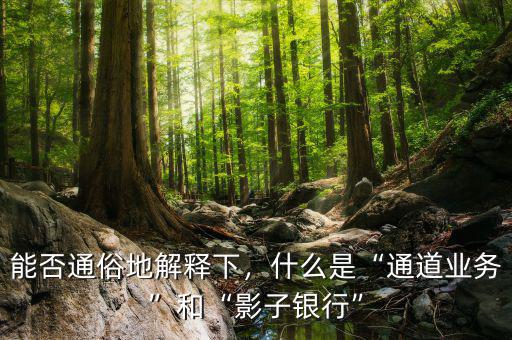 能否通俗地解釋下，什么是“通道業(yè)務(wù)”和“影子銀行”