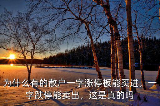 為什么有的散戶一字漲停板能買進(jìn)，一字跌停能賣出，這是真的嗎