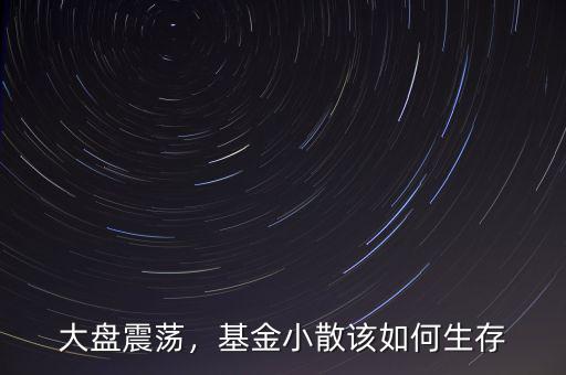 大盤震蕩，基金小散該如何生存