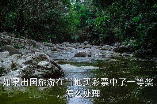 如果出國旅游在當(dāng)?shù)刭I彩票中了一等獎，怎么處理