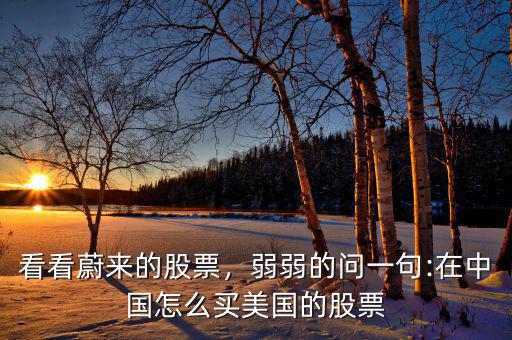 看看蔚來(lái)的股票，弱弱的問(wèn)一句:在中國(guó)怎么買美國(guó)的股票