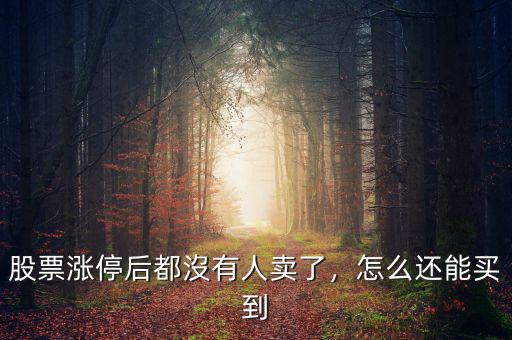 股票漲停后都沒(méi)有人賣了，怎么還能買到