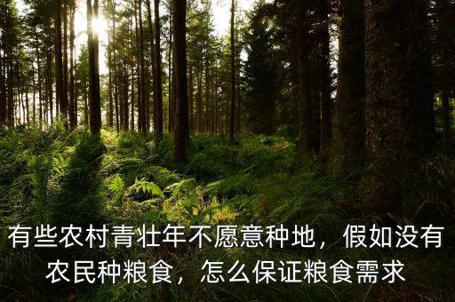 有些農(nóng)村青壯年不愿意種地，假如沒有農(nóng)民種糧食，怎么保證糧食需求
