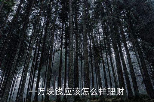 一萬(wàn)元怎么理財(cái),如果手里有一萬(wàn)元要如何理財(cái)