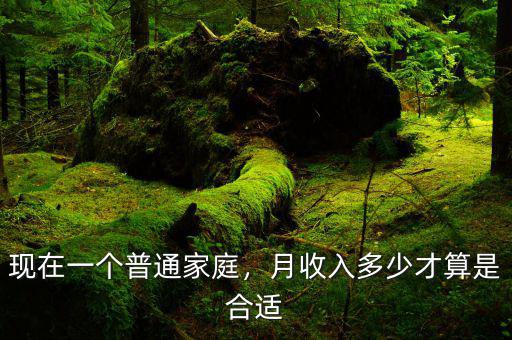 現(xiàn)在一個(gè)普通家庭，月收入多少才算是合適