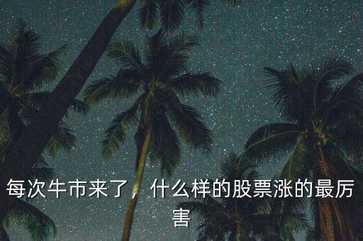 每次牛市來了，什么樣的股票漲的最厲害