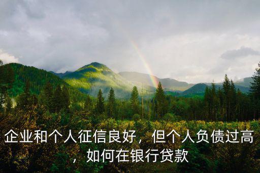 企業(yè)和個(gè)人征信良好，但個(gè)人負(fù)債過(guò)高，如何在銀行貸款