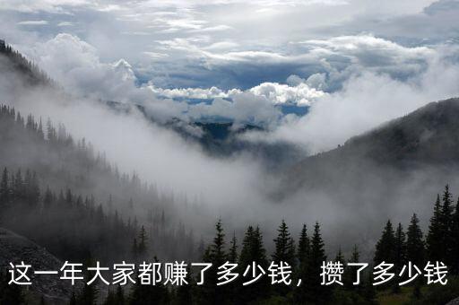 這一年大家都賺了多少錢，攢了多少錢