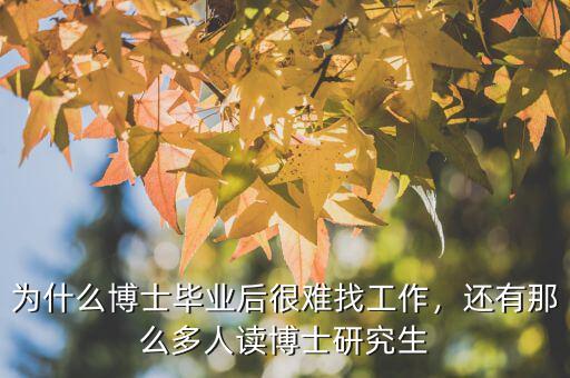 世界經濟博士找什么工作,美國博士留學回國好找工作嗎
