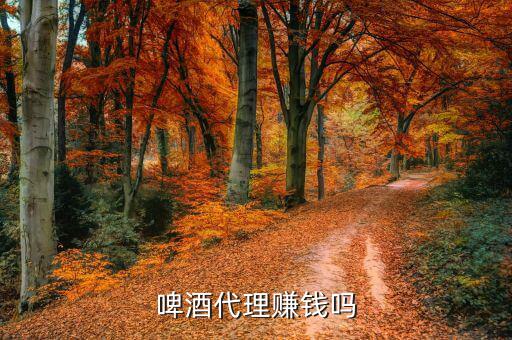 啤酒業(yè)務(wù)員怎么賺錢(qián),啤酒代理賺錢(qián)嗎