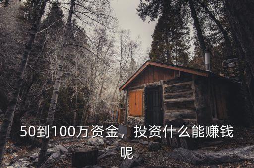 50到100萬資金，投資什么能賺錢呢