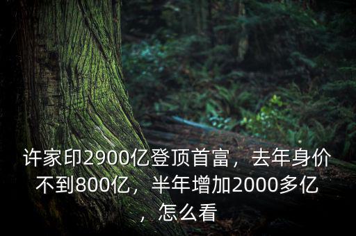 許家印2900億登頂首富，去年身價(jià)不到800億，半年增加2000多億，怎么看