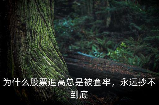 為什么股票追高總是被套牢，永遠抄不到底