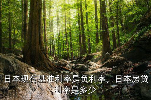 日本現(xiàn)在基準利率是負利率，日本房貸利率是多少