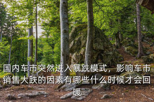 國內(nèi)車市突然進(jìn)入暴跌模式，影響車市銷售大跌的因素有哪些什么時候才會回暖