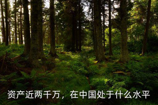 資產(chǎn)近兩千萬，在中國處于什么水平
