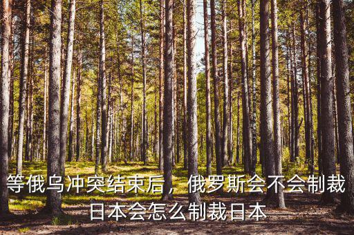 等俄烏沖突結(jié)束后，俄羅斯會(huì)不會(huì)制裁日本會(huì)怎么制裁日本