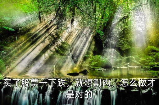 買了股票一下跌，就想割肉，怎么做才是對(duì)的