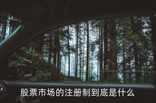 什么叫注冊(cè)制改革,股票市場的注冊(cè)制到底是什么
