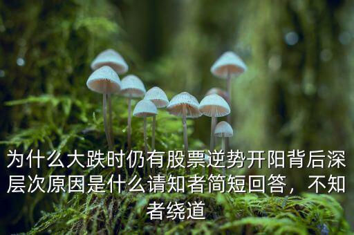 為什么大跌時仍有股票逆勢開陽背后深層次原因是什么請知者簡短回答，不知者繞道