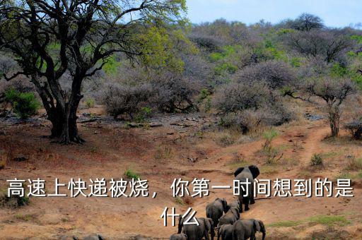 高速上快遞被燒，你第一時(shí)間想到的是什么