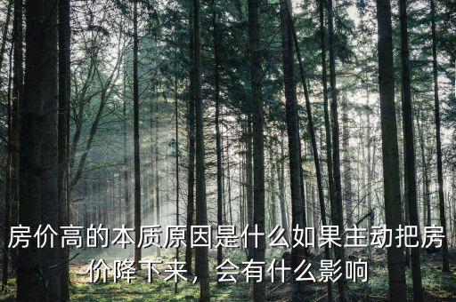 房?jī)r(jià)高的本質(zhì)原因是什么如果主動(dòng)把房?jī)r(jià)降下來(lái)，會(huì)有什么影響