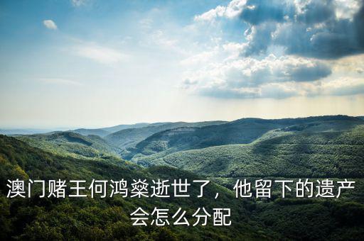 澳門賭王何鴻燊逝世了，他留下的遺產(chǎn)會(huì)怎么分配