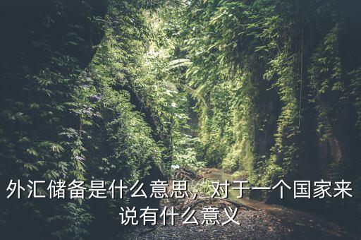外匯儲(chǔ)備是什么意思，對(duì)于一個(gè)國(guó)家來(lái)說(shuō)有什么意義