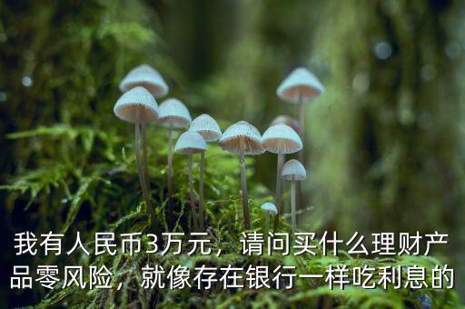 我有人民幣3萬元，請問買什么理財產(chǎn)品零風(fēng)險，就像存在銀行一樣吃利息的