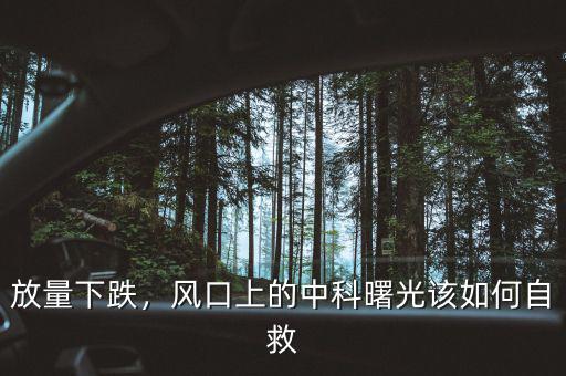 放量下跌，風(fēng)口上的中科曙光該如何自救
