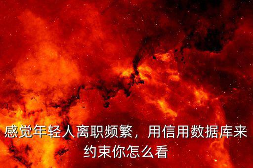 感覺年輕人離職頻繁，用信用數(shù)據(jù)庫來約束你怎么看