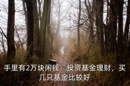 手里有2萬塊閑錢，投資基金理財(cái)，買幾只基金比較好