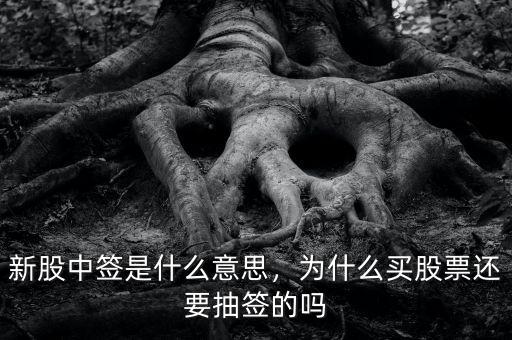 新股中簽是什么意思，為什么買股票還要抽簽的嗎