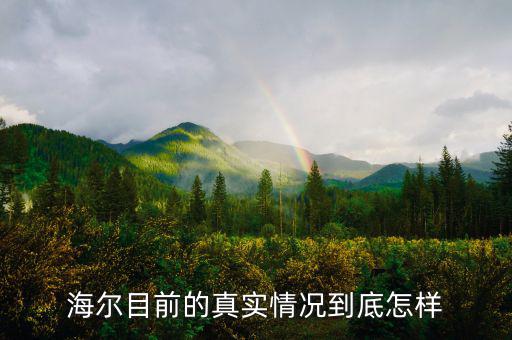海爾電視利潤怎么樣,海爾目前的真實(shí)情況到底怎樣