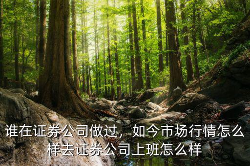 誰(shuí)在證券公司做過(guò)，如今市場(chǎng)行情怎么樣去證券公司上班怎么樣