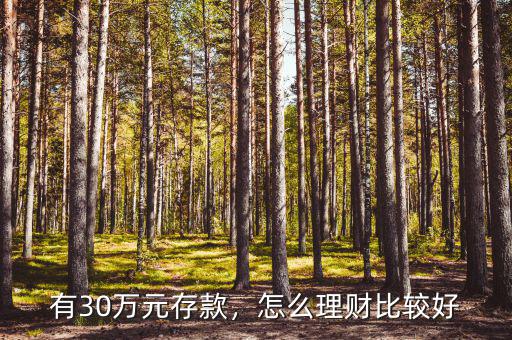 有30萬元存款，怎么理財(cái)比較好