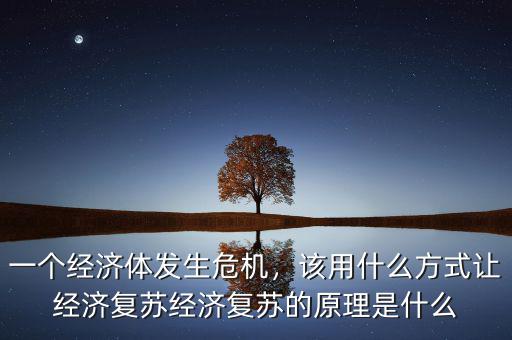 一個經(jīng)濟體發(fā)生危機，該用什么方式讓經(jīng)濟復蘇經(jīng)濟復蘇的原理是什么