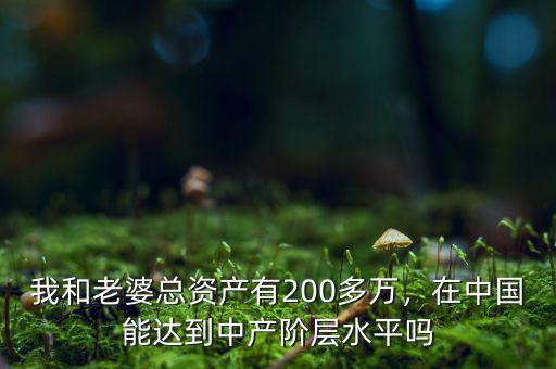 我和老婆總資產(chǎn)有200多萬，在中國能達到中產(chǎn)階層水平嗎