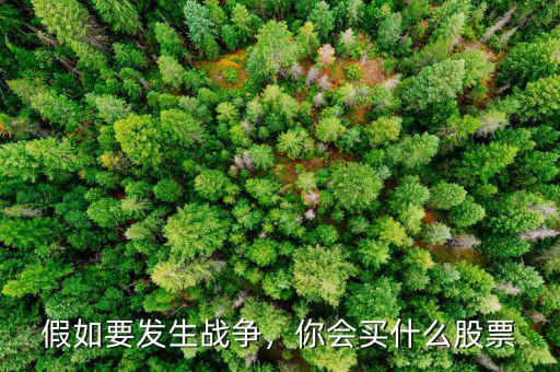 假如要發(fā)生戰(zhàn)爭(zhēng)，你會(huì)買什么股票