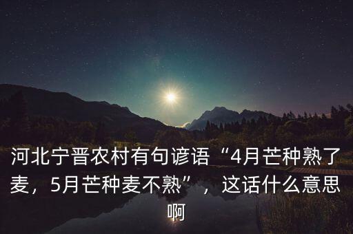 河北寧晉農(nóng)村有句諺語(yǔ)“4月芒種熟了麥，5月芒種麥不熟”，這話什么意思啊