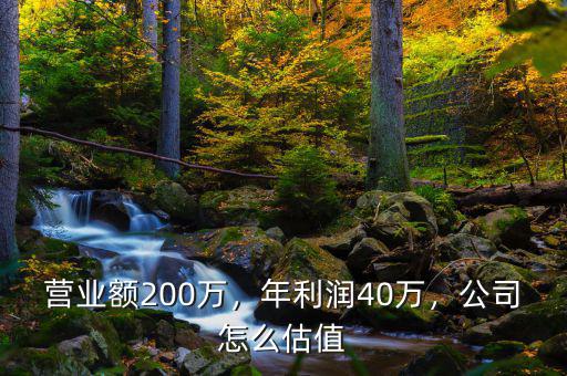 營業(yè)額200萬，年利潤40萬，公司怎么估值