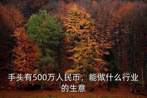 手頭有500萬人民幣，能做什么行業(yè)的生意