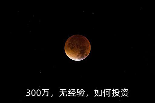 300萬，無經(jīng)驗(yàn)，如何投資