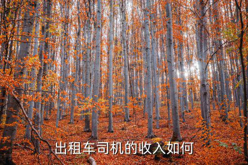 出租車什么掙錢,你認(rèn)為在沈陽(yáng)開(kāi)出租車掙錢嗎