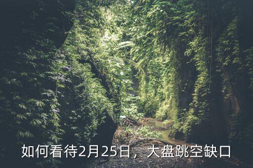 如何看待2月25日，大盤跳空缺口