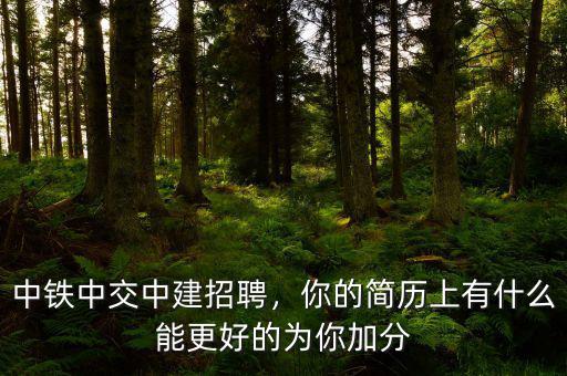 中鐵中交中建招聘，你的簡(jiǎn)歷上有什么能更好的為你加分