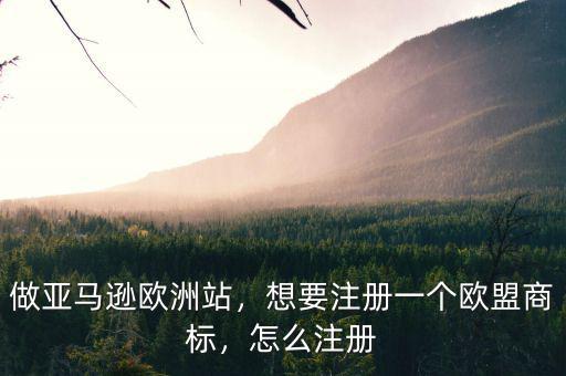 做亞馬遜歐洲站，想要注冊一個歐盟商標(biāo)，怎么注冊