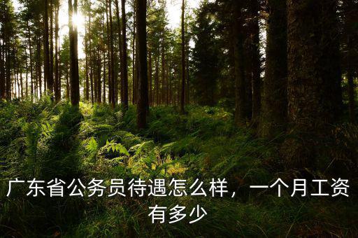 廣東省公務(wù)員待遇怎么樣，一個(gè)月工資有多少