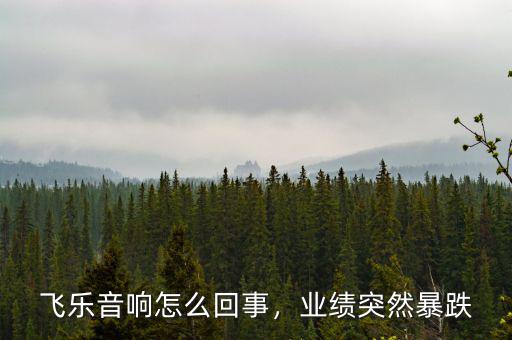飛樂音響怎么回事，業(yè)績突然暴跌